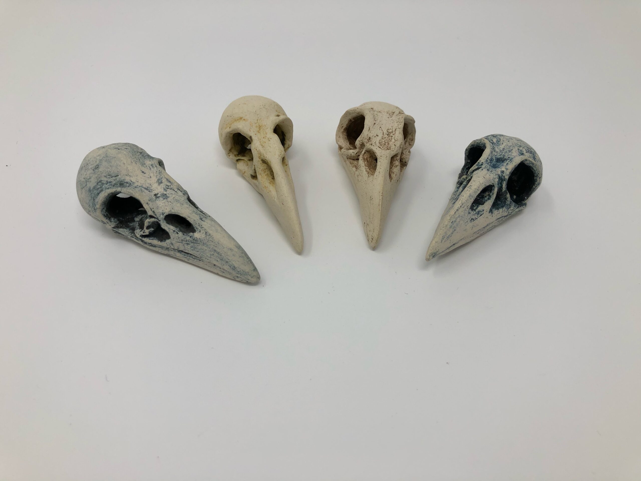 Four hand sculpted ceramic corvid skulls in a semicircle.